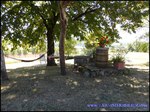 A vendre Castelnau de Montmiral Domaine de 8 hectares avec piscine, Maison principale, maison de fonction, 6 boxes et de nombreuses dépendances