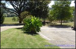 A vendre Castelnau de Montmiral Domaine de 8 hectares avec piscine, Maison principale, maison de fonction, 6 boxes et de nombreuses dépendances