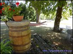 A vendre Castelnau de Montmiral Domaine de 8 hectares avec piscine, Maison principale, maison de fonction, 6 boxes et de nombreuses dépendances
