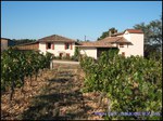 A vendre par TAIC Immobilier Secteur Gaillac Ancien domaine viticole avec propriété de 274m2 sur 4,57 hectares, piscine et de nombreuses dépendances pour environ 400m2, 1,8hectares de vigne