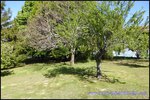 A vendre par TAIC Immobilier secteur Cordes sur Ciel Joli corp de ferme en U de 200m2 sur 8000m2 de parc avec tennis et piscine