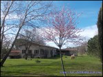 A vendre par TAIC Immobilier à Castres Grande longère de 1000m2 sur 8900m2 de terrain comprenant partie privative, 7 studios et dépendances,puit,lavoir.