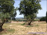 A vendre secteur albi par TAIC immobilier, agence immobiliere à cordes sur ciel, Demeure de prestige sur environ 1400m2 de batiments comprenant : Maison de maître et 3 autres maisons, bergerie, pigeonniers etc... sur 15 hectares