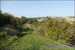 A vendre par TAIC Immobilier Secteur Cuq-Toulza Belle longère de 350m2 avec son gite de 60m2 dépendances sur 2 hectares en situation dominante.