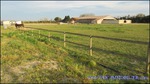 A vendre par TAIC Immobilier secteur Beaucaire Arles centre équestre sur 5ha avec manège, 15 boxes, 28 paddocks avec abris, Gard,30