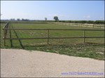 A vendre par TAIC Immobilier secteur Beaucaire Arles centre équestre sur 5ha avec manège, 15 boxes, 28 paddocks avec abris, Gard,30