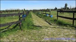 A vendre par TAIC Immobilier secteur Beaucaire Arles centre équestre sur 5ha avec manège, 15 boxes, 28 paddocks avec abris, Gard,30