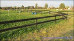 A vendre par TAIC Immobilier secteur Beaucaire Arles centre équestre sur 5ha avec manège, 15 boxes, 28 paddocks avec abris, Gard,30