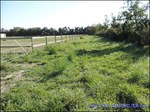 A vendre par TAIC Immobilier secteur Beaucaire Arles centre équestre sur 5ha avec manège, 15 boxes, 28 paddocks avec abris, Gard,30