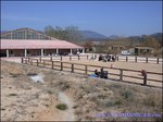 A vendre par TAIC Immobilier A vendre Secteur Avignon : Domaine équestre sur 15Ha permettant l'exploitation en écurie de propriétaires, poneys club, haras, commerce de chevaux. Superbes installations ! Manège, 4 Carrières , maison de maître etc