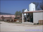 A vendre par TAIC Immobilier A vendre Secteur Avignon : Domaine équestre sur 15Ha permettant l'exploitation en écurie de propriétaires, poneys club, haras, commerce de chevaux. Superbes installations ! Manège, 4 Carrières , maison de maître etc