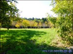 A vendre par TAIC-Immobilier Entre Castres et Réalmont Superbe corps de ferme de 350m2 avec sa maison de gardien et dépendances sur 19 hectares .Granges, Auvents, Puits,Calme