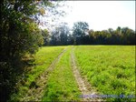 A vendre par TAIC-Immobilier Entre Castres et Réalmont Superbe corps de ferme de 350m2 avec sa maison de gardien et dépendances sur 19 hectares .Granges, Auvents, Puits,Calme