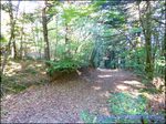 A vendre par TAIC-Immobilier Entre Castres et Réalmont Superbe corps de ferme de 350m2 avec sa maison de gardien et dépendances sur 19 hectares .Granges, Auvents, Puits,Calme