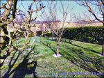 A vendre par TAIC-Immobilier, Tarn Aveyron Immobilier Caractere, secteur Villefranche de Lauragais, maison d'habitation environ 220m2 sur 1800m2 de terrain paysagé, piscine, garage
